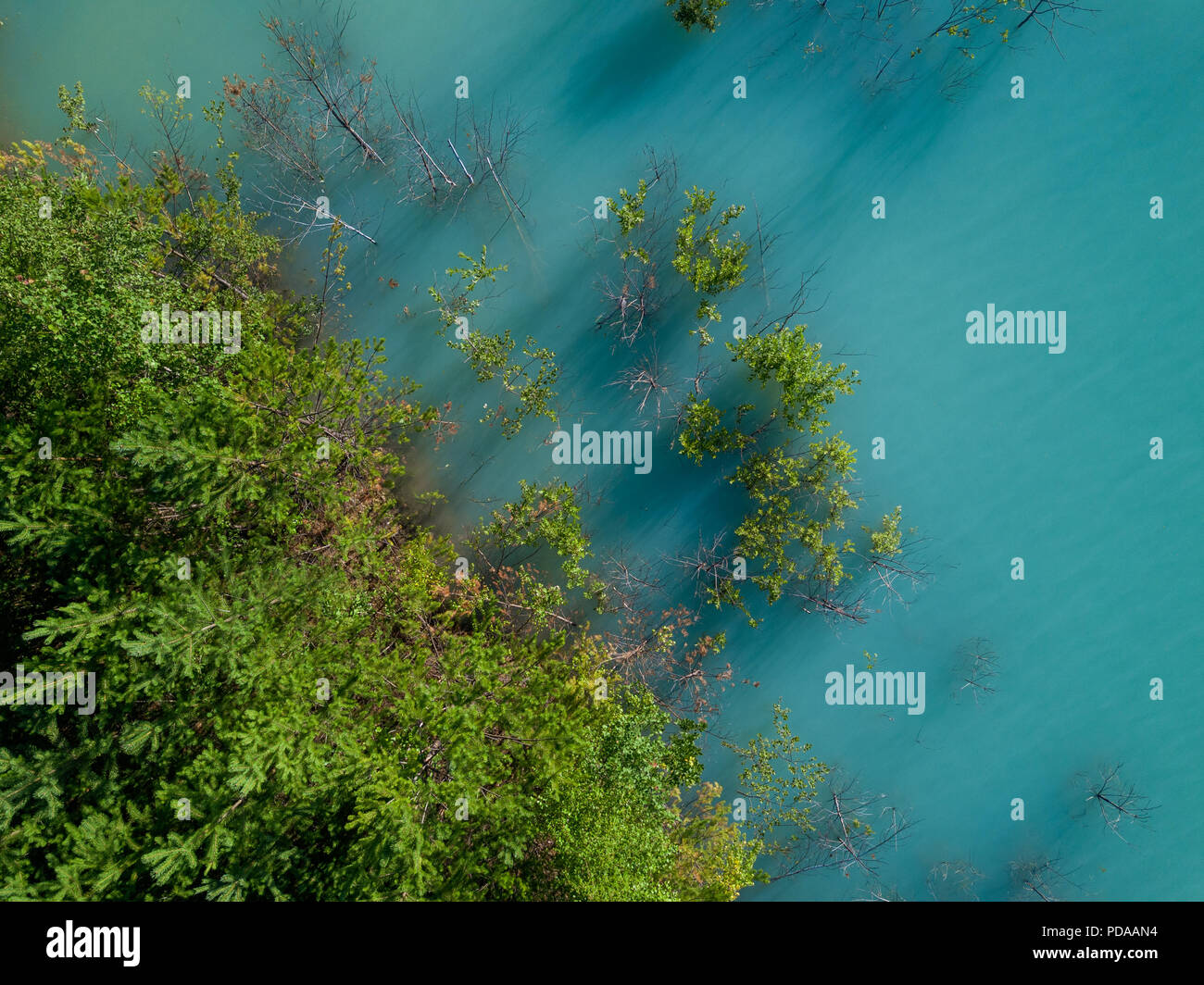 Kaolin Lake Stock Photos Kaolin Lake Stock Images Alamy - aerial drone photo of green tree crones growing in tourquoise water of abandoned kaolin quarry
